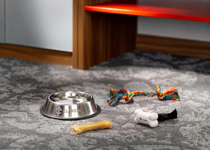 ホテル Clarion Congress